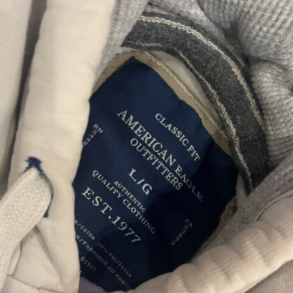 American Eagle Hoodie | Size L | 1977 Eagle Logo Y2K - Picture 3 of 10